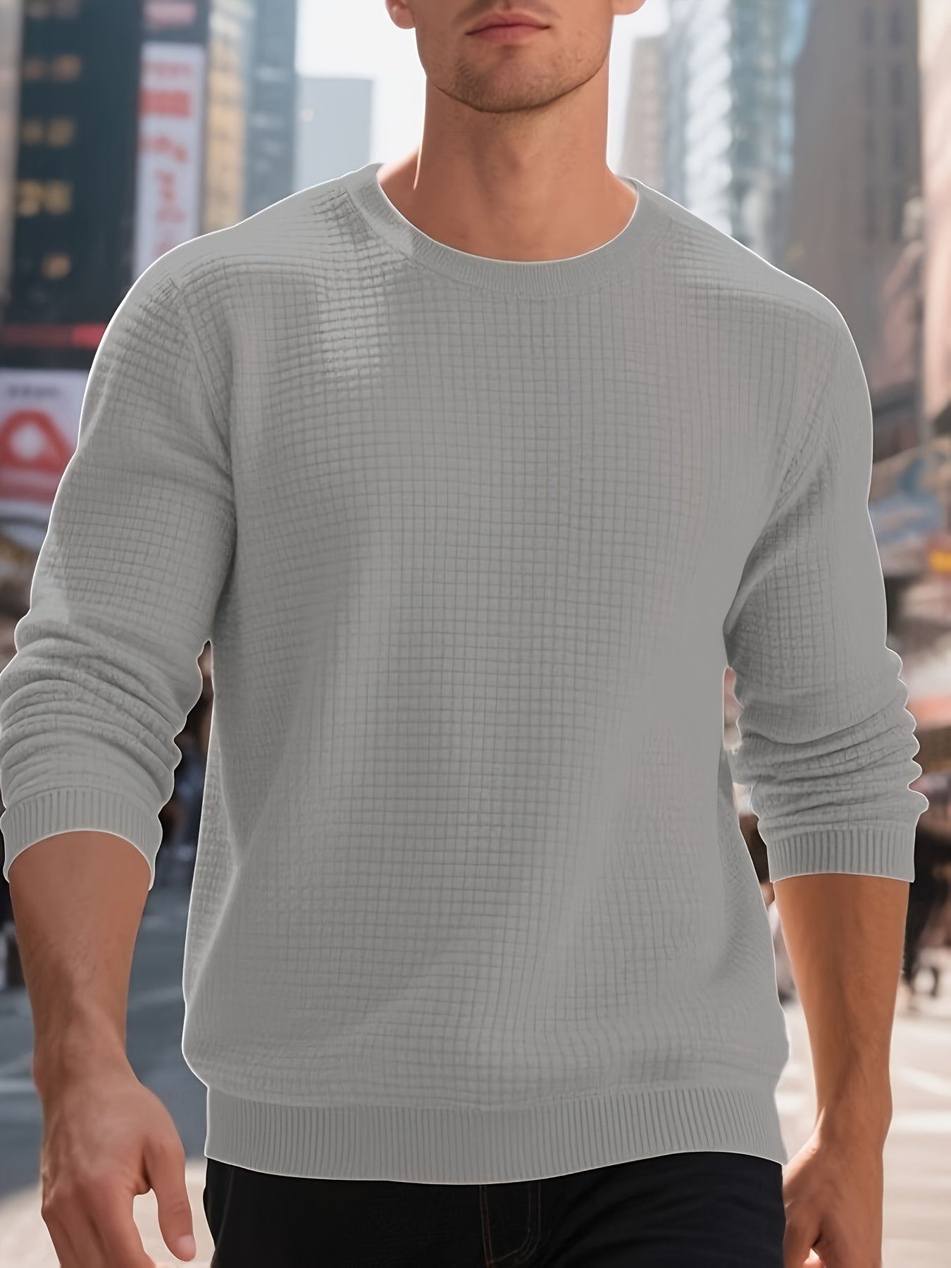 Hudson Textured Knit Crewneck Sweater